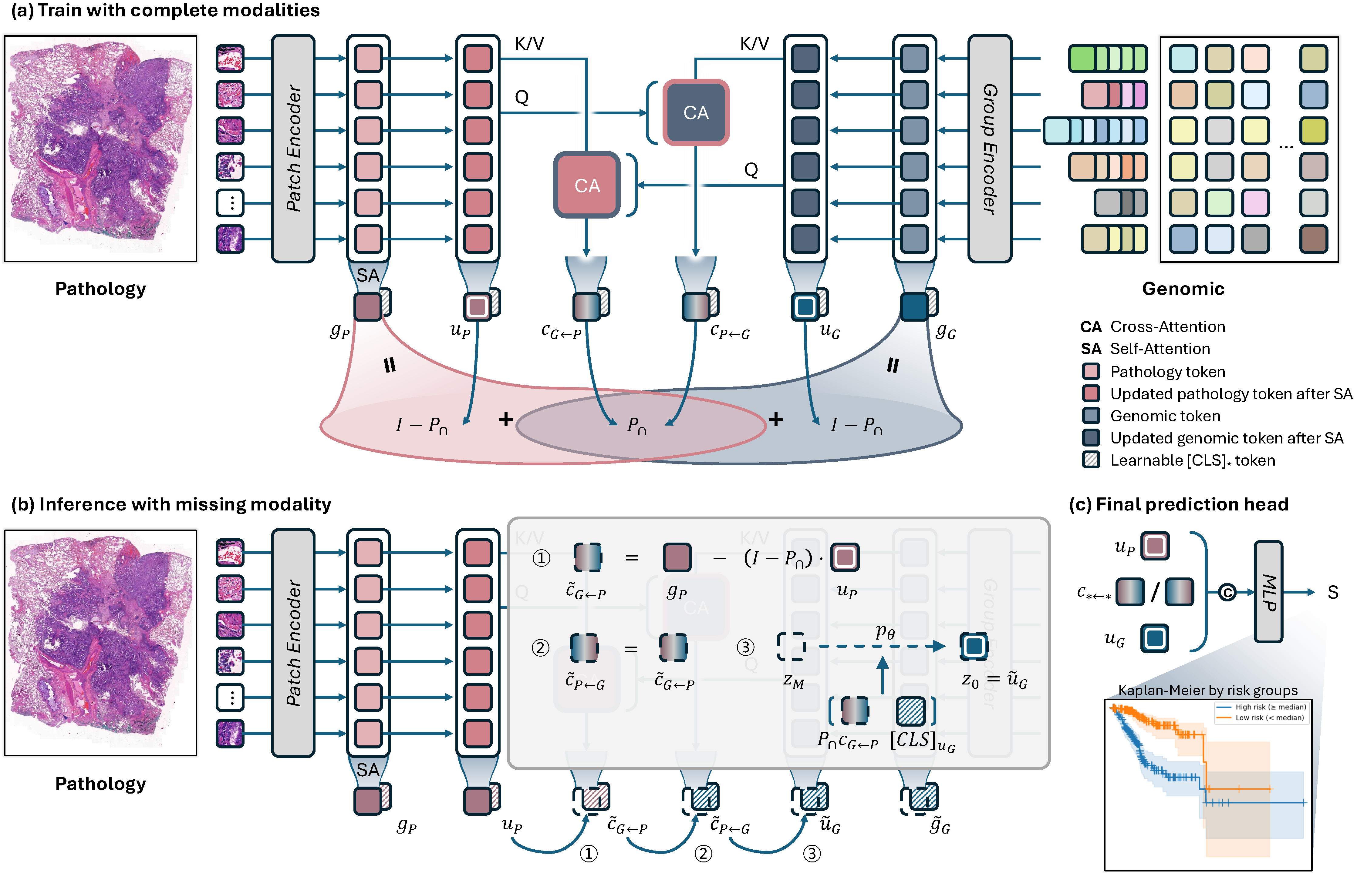 Overall architecture of MUST