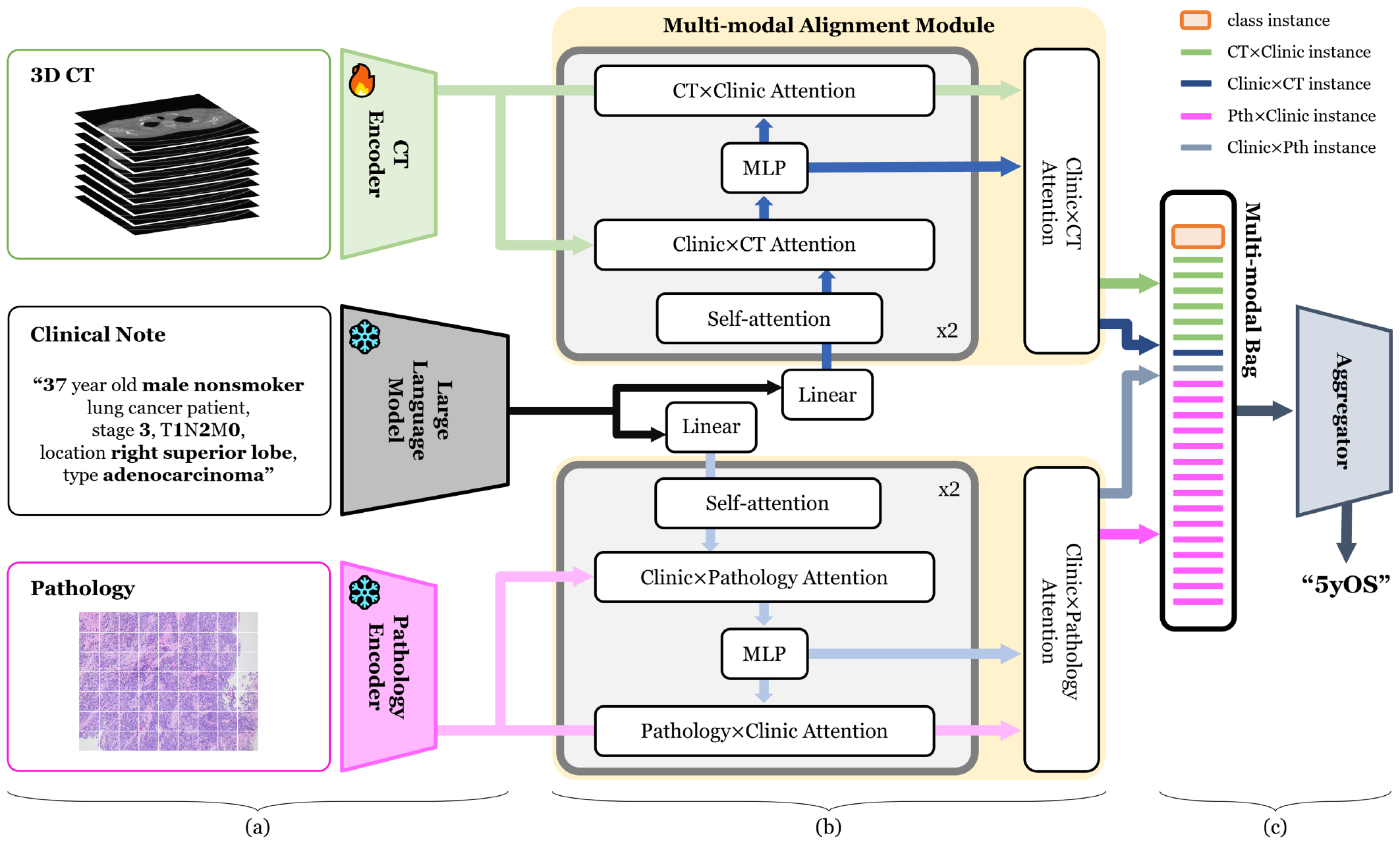 MICCAI 2024 Figure